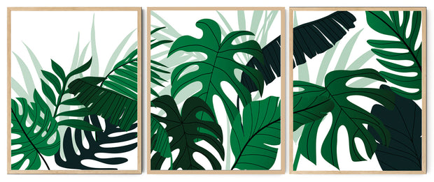 NATURAL THEME GREENY MONSTERA PLANT ART FRAMES WITH GLASS- SET OF 3
