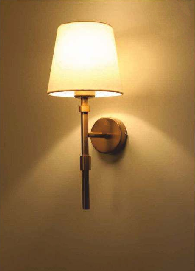 AGILE METAL AND ANTIQUE BRASS WALL LAMP