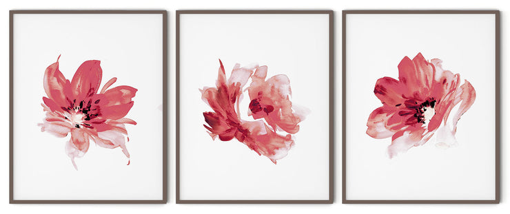 RED ROSE FLOWERS BOTANICAL PICTURE FRAMES WITH GLASS- SET OF 3 (1) By Alexander A. Parks