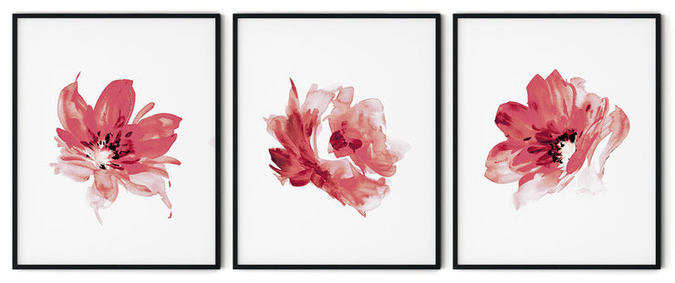 RED ROSE FLOWERS BOTANICAL PICTURE FRAMES WITH GLASS- SET OF 3 (1) By Alexander A. Parks