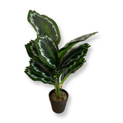 BROWN FIBER INDOOR PLANTER WITH GREEN LEAVES
