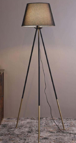 ELITE TRIGONAL FLOOR LAMP WITH A RUSTIC FINISH